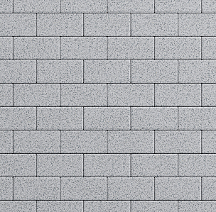 Тротуарная плитка Прямоугольник Стоунмикс  100х200 - belyj_s_chernym_stounmiks